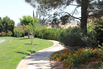 Photo of Regatta Drive Trail