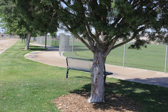 Photo of Russell Road Sports Complex Park Loop Trail