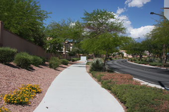 Photo of Sageberry/Laurel Glen Loop Trail