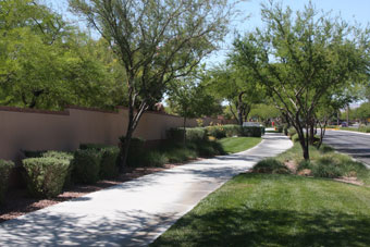 Photo of Sageberry/Laurel Glen Loop Trail