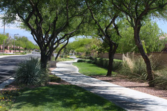 Photo of Sageberry/Laurel Glen Loop Trail