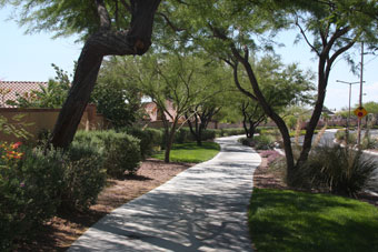 Photo of Sageberry/Laurel Glen Loop Trail