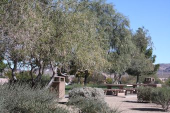 Photo of Saguaro Trail