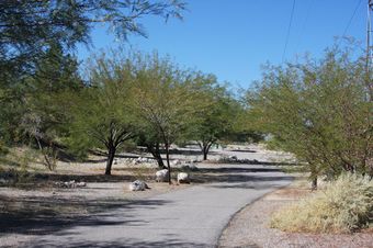 Photo of Saguaro Trail