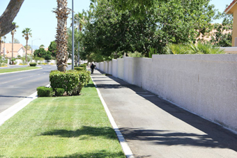 Photo of Scott Robinson Drive Trail