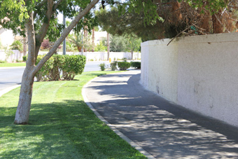 Photo of Scott Robinson Drive Trail