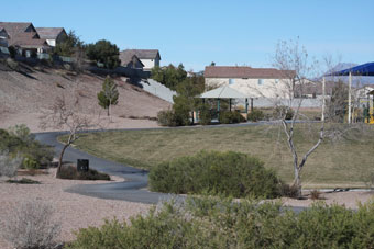 Photo of Skyridge Park Loop Trail