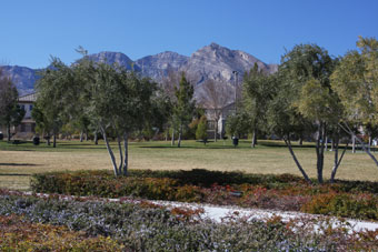 Photo of South Tower Park Loop Trail