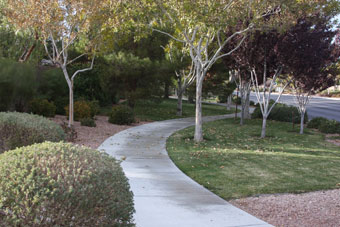 Photo of Southern Highlands Parkway Trail