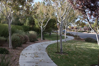 Photo of Southern Highlands Parkway Trail