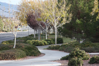 Photo of Southern Highlands Parkway Trail