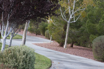 Photo of Southern Highlands Parkway Trail