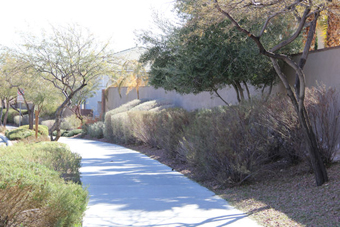 Photo of Spotted Leaf Lane Trail