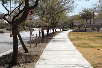 Photo of Spotted Leaf Lane Trail