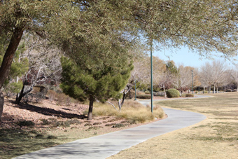 Photo of Spotted Leaf Park Loop Trail