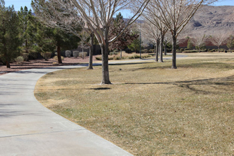 Photo of Spotted Leaf Park Loop Trail