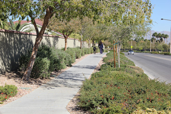 Photo of Spring Gate Lane Trail