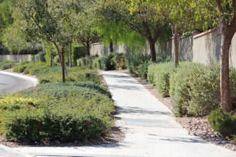 Photo of Spring Gate Lane Trail