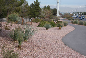 Photo of Stephanie Street Trail