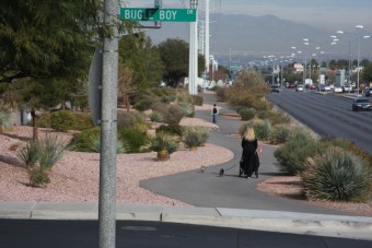 Photo of Stephanie Street Trail