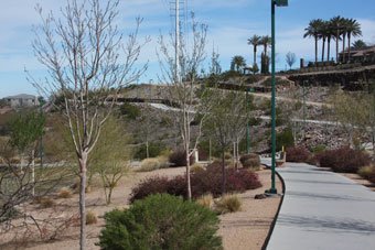 Photo of Sunridge Park Loop Trail