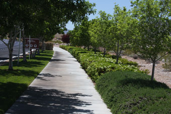 Photo of Town Center Drive Trail