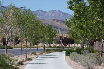 Photo of Town Center Drive Trail