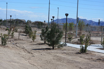 Photo of Tropical Breeze Community Park Loop Trail