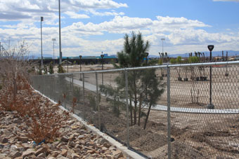 Photo of Tropical Breeze Community Park Loop Trail