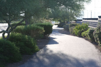 Photo of Van Wagenen Trail