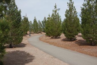 Photo of Veterans Memorial Park Loop Trail