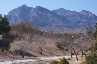 Photo of Vista Park Loop Trail