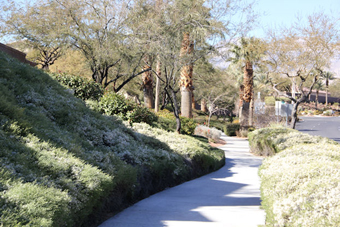 Photo of Vista Run Drive Trail