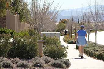 Photo of Vista Run Drive Trail