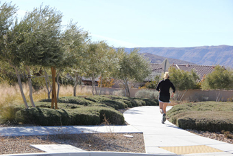 Photo of Vista Run Drive Trail