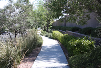 Photo of West Desert Inn Trail