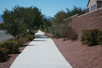 Photo of Elkhorn Road Trail