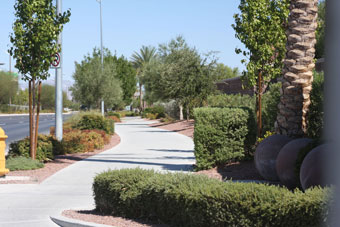 Photo of Elkhorn Road Trail