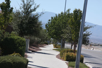 Photo of Elkhorn Road Trail