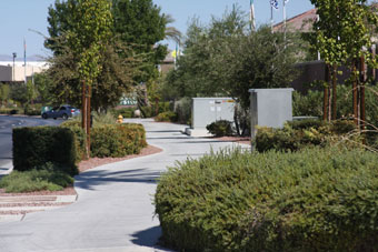 Photo of Elkhorn Road Trail