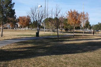 Photo of West Flamingo Park Loop Trail