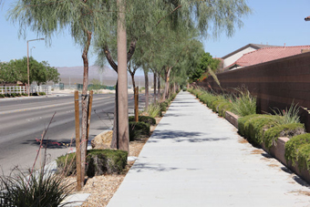 Photo of Iron Mountain Road Trail