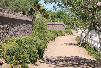 Photo of Iron Mountain Road Trail