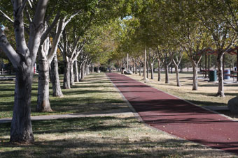 Photo of W. Wayne Bunker Family Park Loop Trail