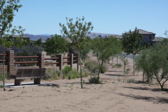 Photo of Western Trails Equestrian Park Trail