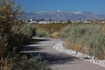 Photo of Duck Creek Trail (Wetlands Park)