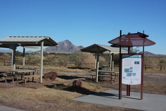 Photo of Quail Run Trail (Wetlands Park)