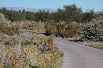 Photo of Quail Run Trail (Wetlands Park)