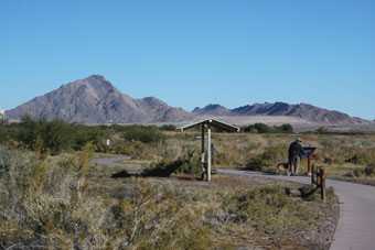 Photo of Quail Run Trail (Wetlands Park)