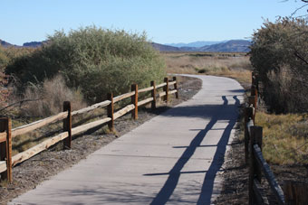 Photo of Quail Run Trail (Wetlands Park)